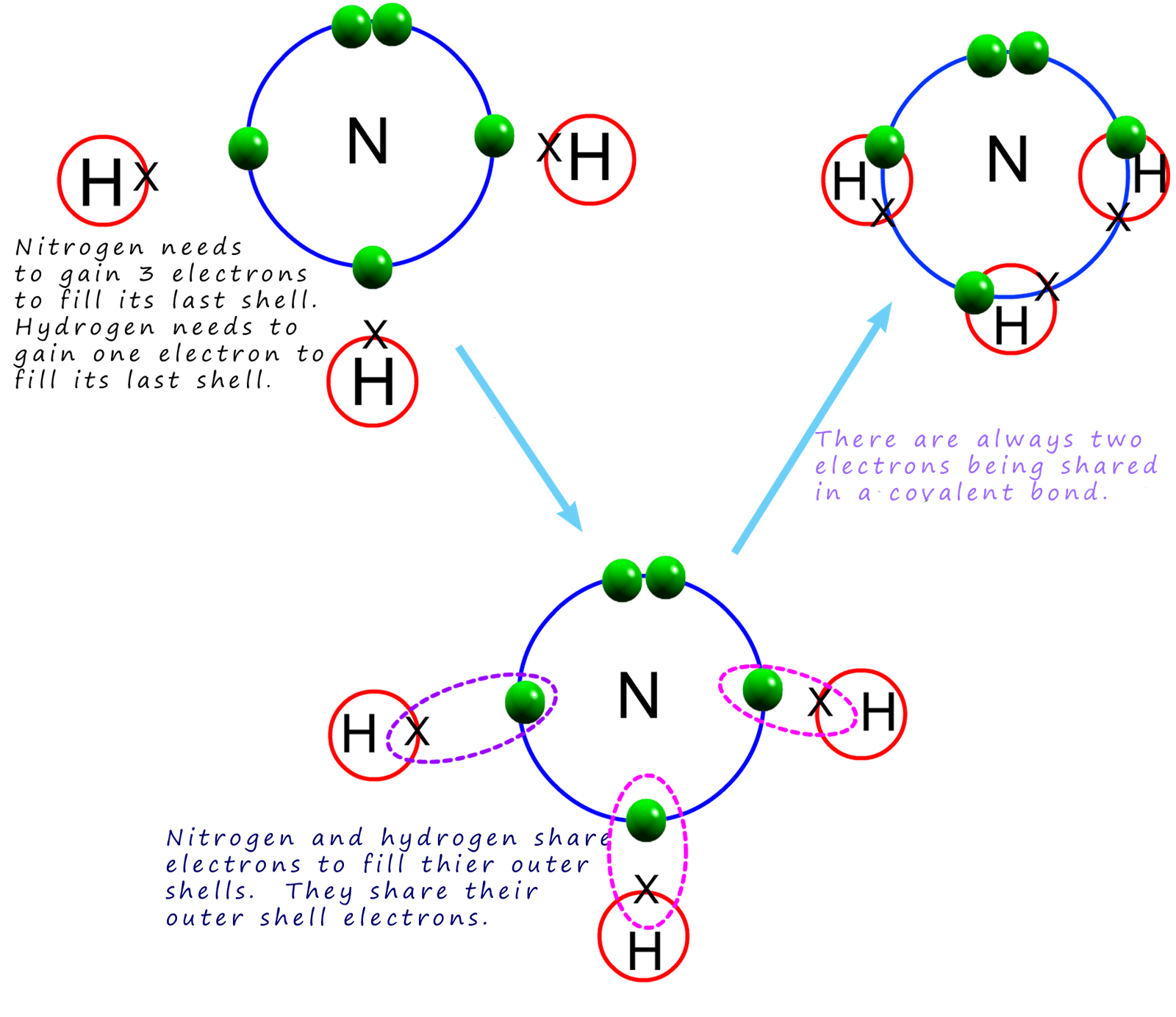 dot and cross diagram for an ammonia molecule